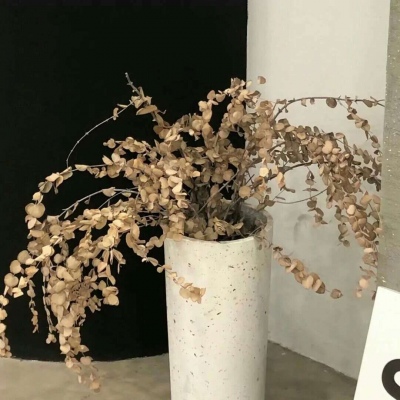 兽设零基础绘画教程福瑞交流群